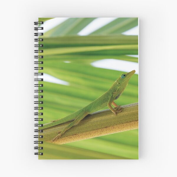 Item preview, Green Anole Photo designed and sold by TheAnimalZ00.