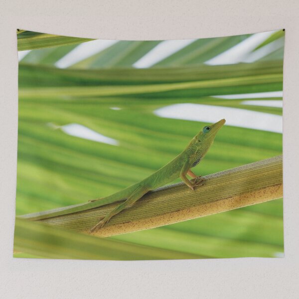 Item preview, Green Anole Photo designed and sold by TheAnimalZ00.