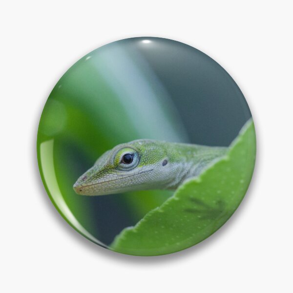 Item preview, Green Anole Lizard designed and sold by TheAnimalZ00.