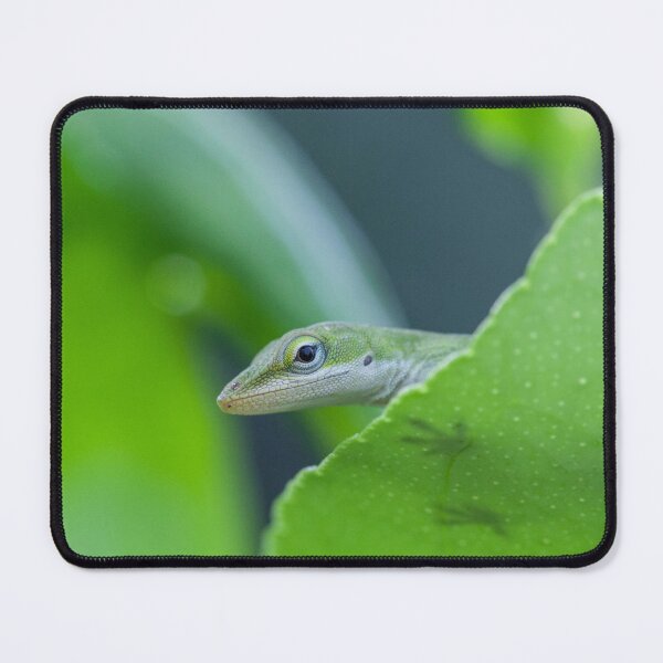 Item preview, Green Anole Lizard designed and sold by TheAnimalZ00.