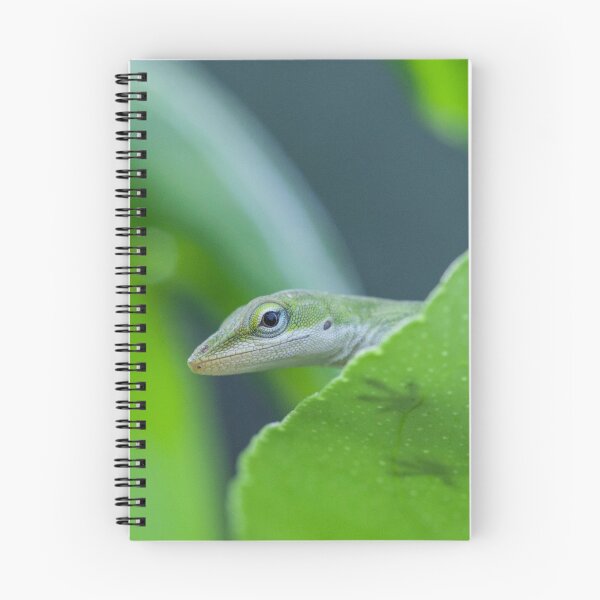 Item preview, Green Anole Lizard designed and sold by TheAnimalZ00.