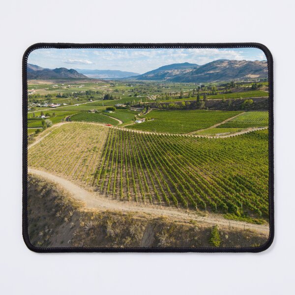Item preview, Okanagan Valley Winery Vineyard British Columbia designed and sold by Kevin Miller Photography.
