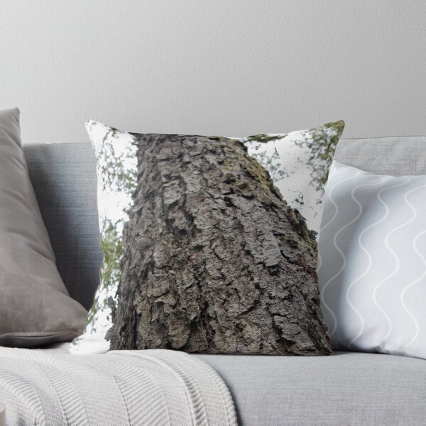 Item preview, Beech at Gloucester Tops EOS 1379 designed and sold by Timothy John Keegan.