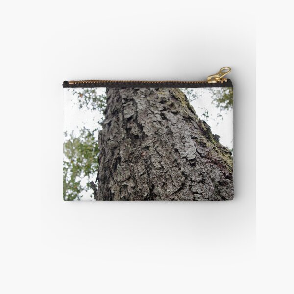Item preview, Beech at Gloucester Tops EOS 1379 designed and sold by Timothy John Keegan.