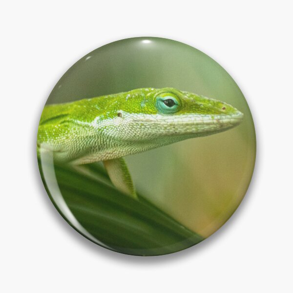 Item preview, Green Anole Lizard Photo designed and sold by TheAnimalZ00.