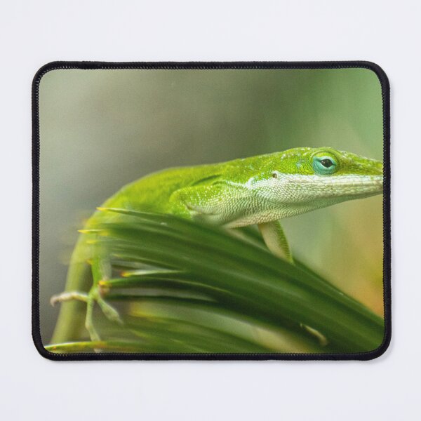 Item preview, Green Anole Lizard Photo designed and sold by TheAnimalZ00.
