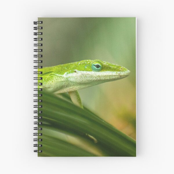 Item preview, Green Anole Lizard Photo designed and sold by TheAnimalZ00.