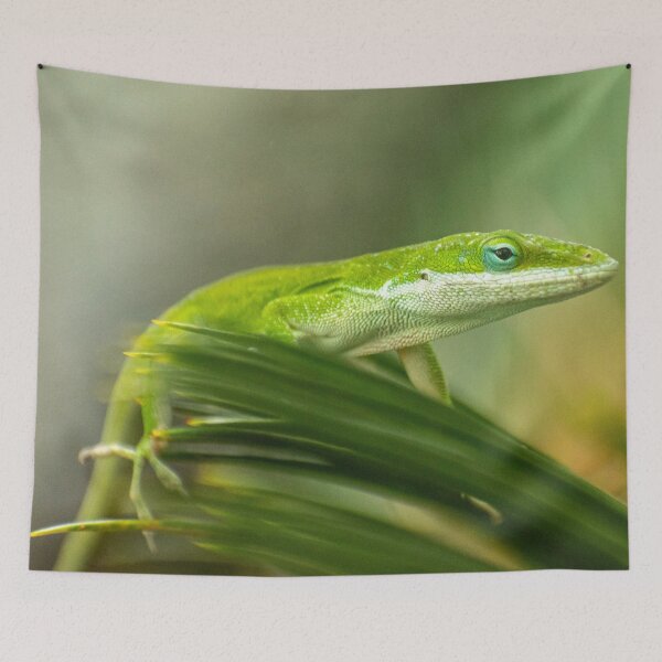 Item preview, Green Anole Lizard Photo designed and sold by TheAnimalZ00.