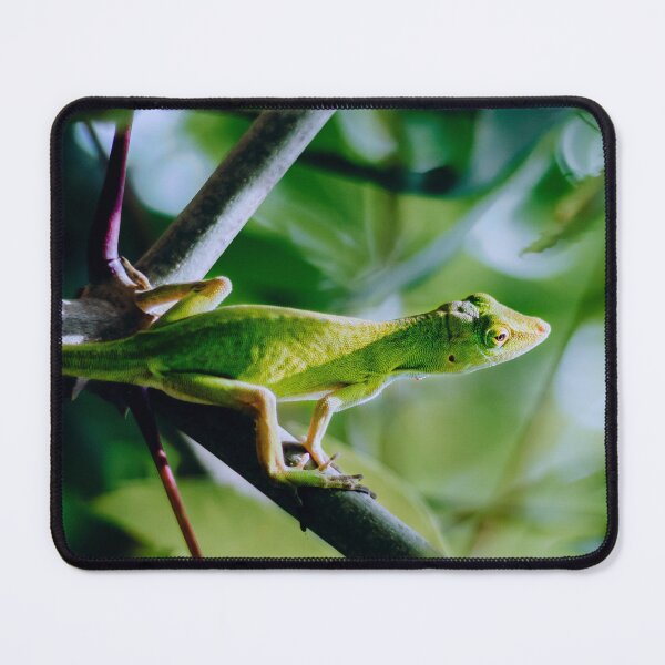 Item preview, Green Anole designed and sold by TheAnimalZ00.