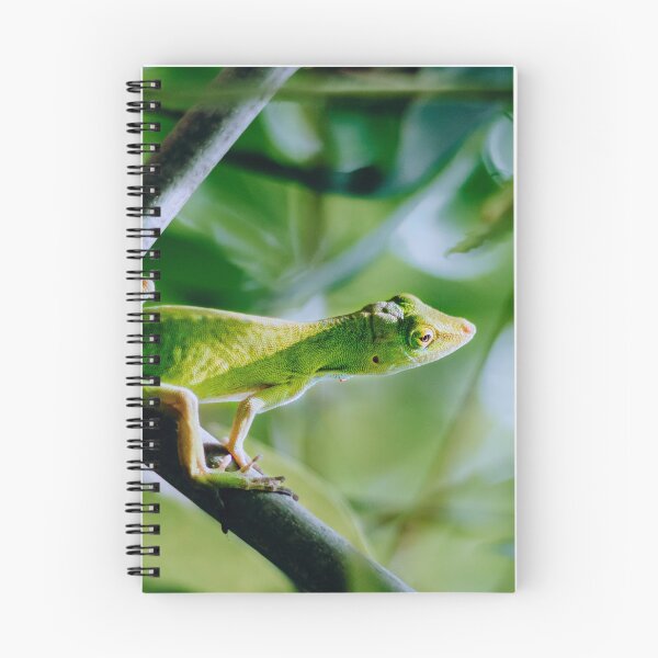 Item preview, Green Anole designed and sold by TheAnimalZ00.