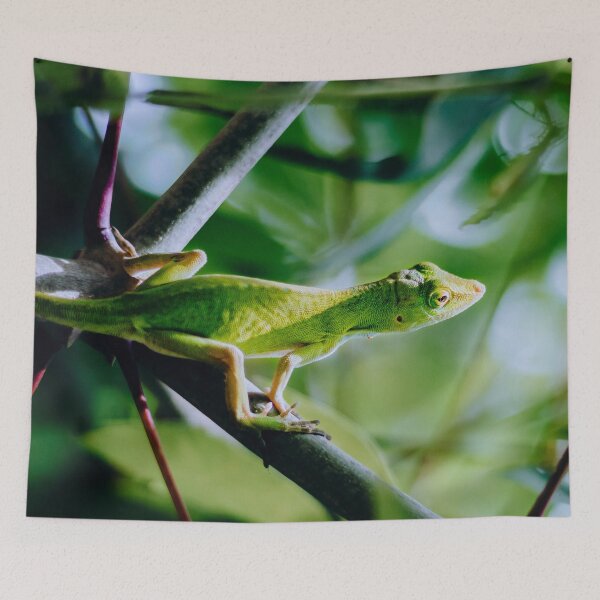 Item preview, Green Anole designed and sold by TheAnimalZ00.