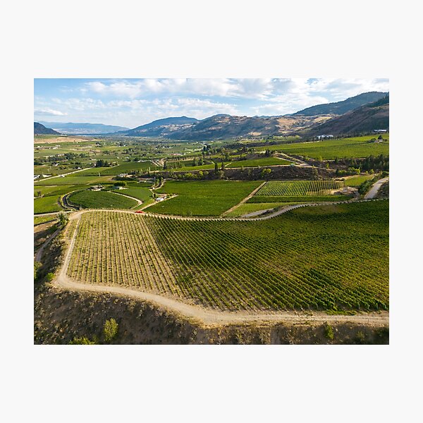 Item preview, Okanagan Valley Winery Vineyard British Columbia designed and sold by Kevin Miller Photography.