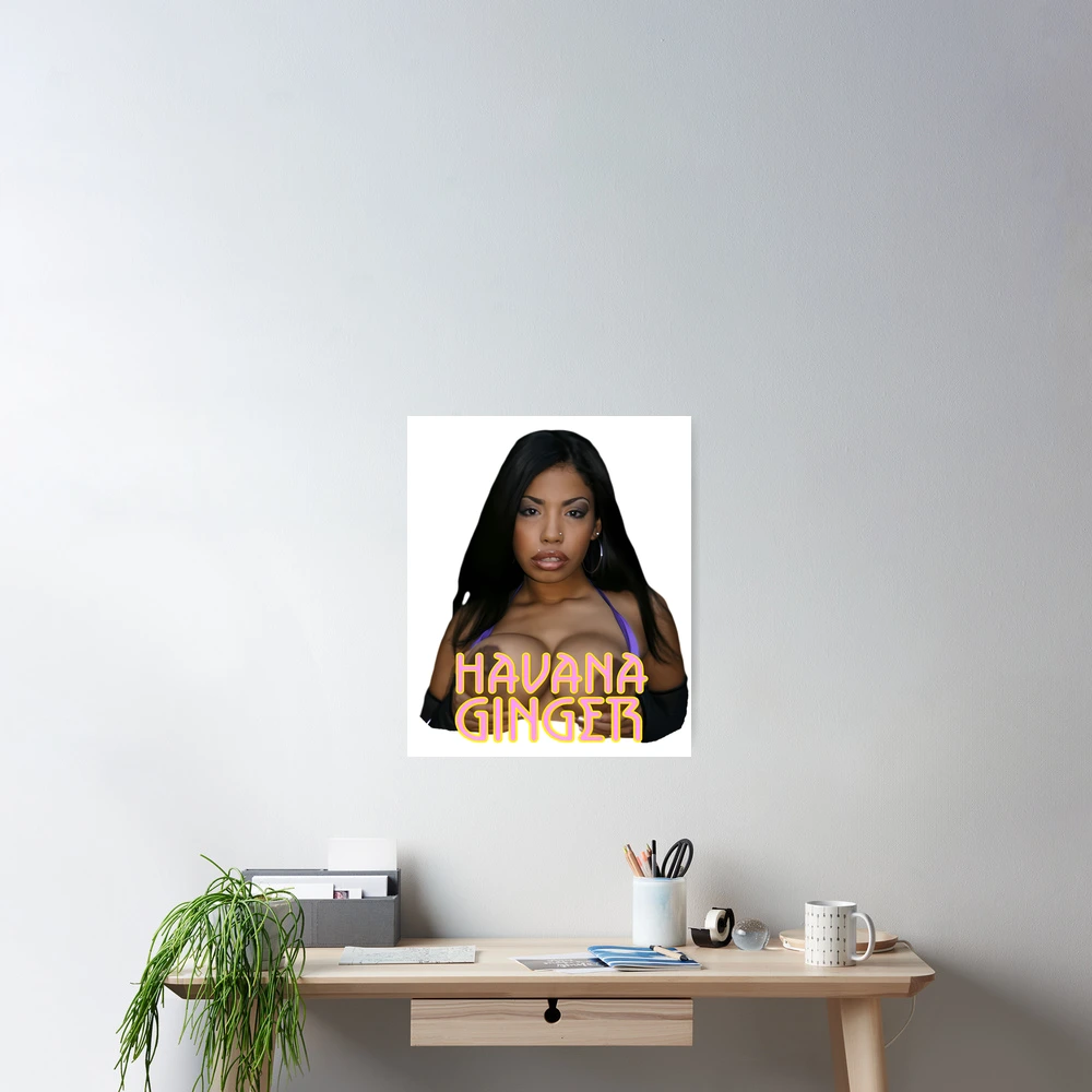 Havana Ginger | Poster