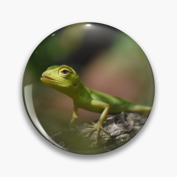 Item preview, Green Anole designed and sold by TheAnimalZ00.