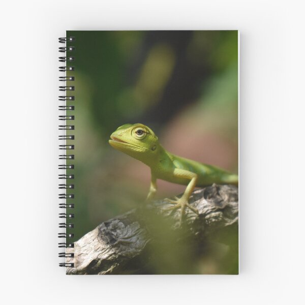 Aperçu de l'œuvre Anole verte créée et vendue par TheAnimalZ00.