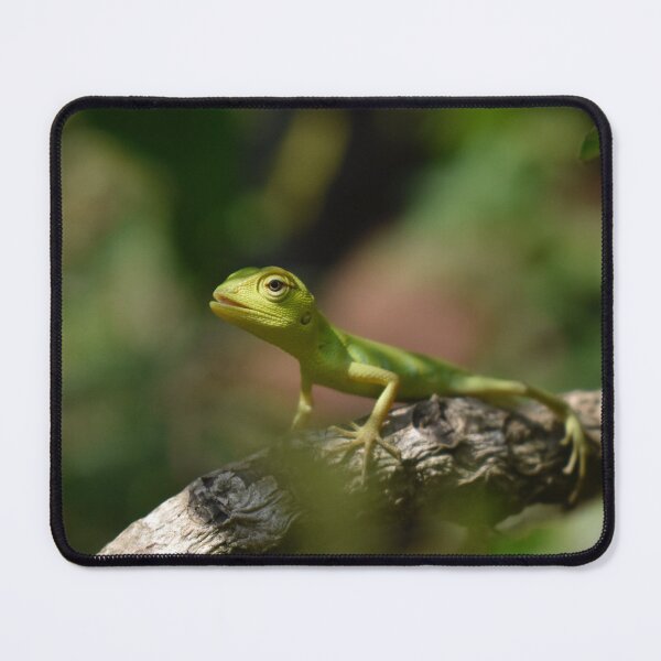 Item preview, Green Anole designed and sold by TheAnimalZ00.