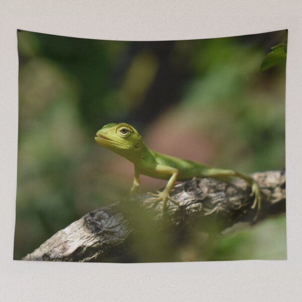 Item preview, Green Anole designed and sold by TheAnimalZ00.