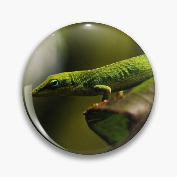 Item preview, Green Anole Lizard Photo designed and sold by TheAnimalZ00.