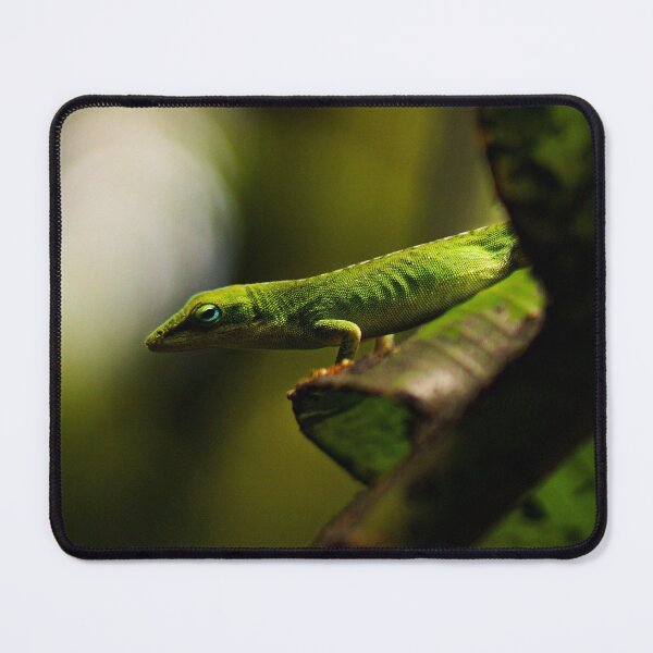 Item preview, Green Anole Lizard Photo designed and sold by TheAnimalZ00.