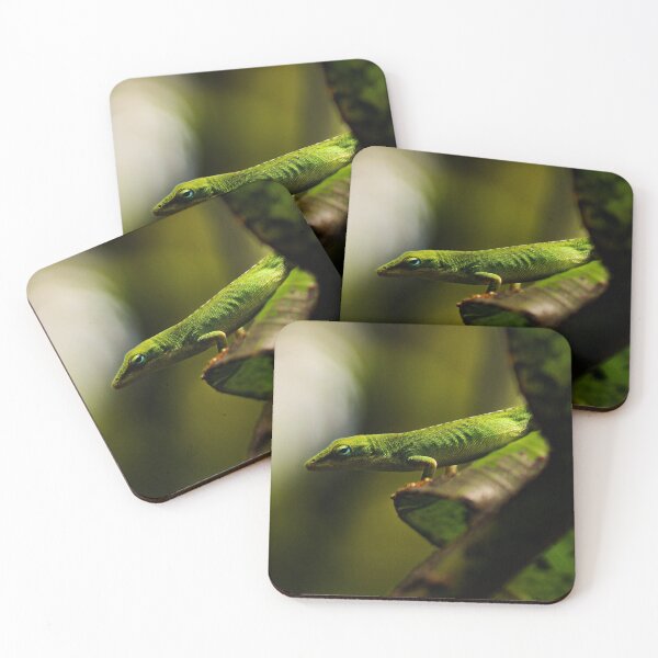 Item preview, Green Anole Lizard Photo designed and sold by TheAnimalZ00.