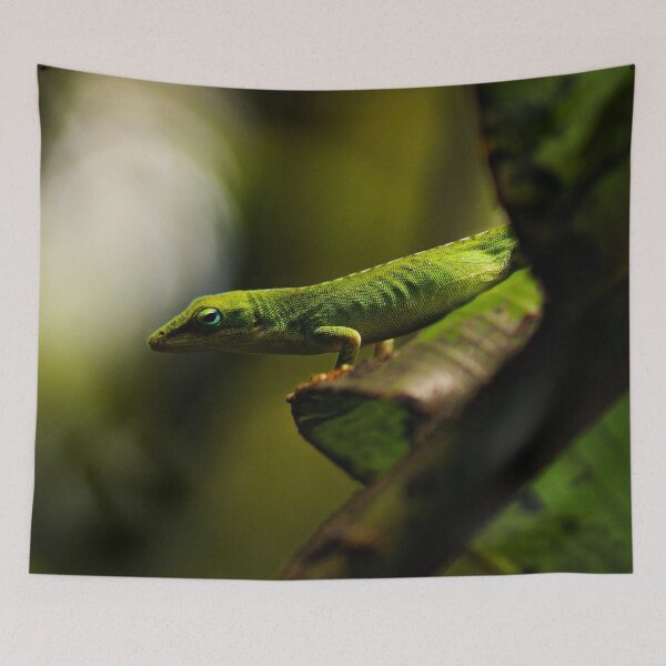 Item preview, Green Anole Lizard Photo designed and sold by TheAnimalZ00.