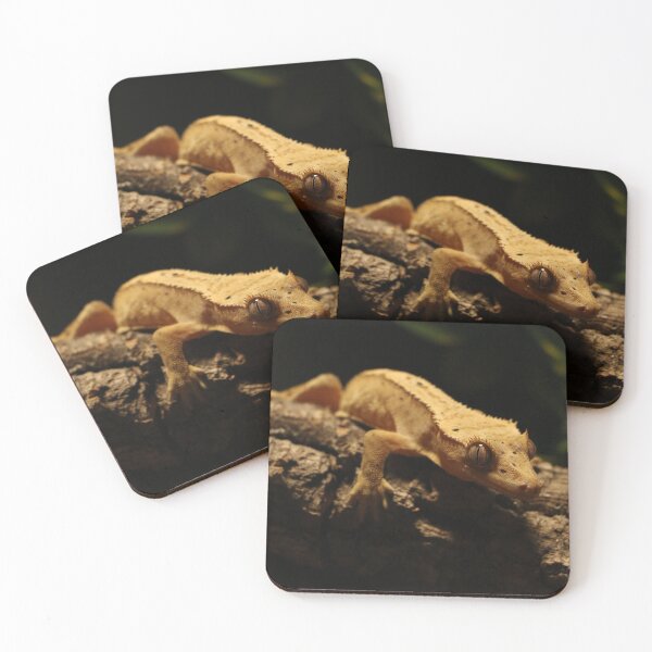 Item preview, Crested Gecko Photo designed and sold by TheAnimalZ00.