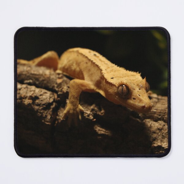 Item preview, Crested Gecko Photo designed and sold by TheAnimalZ00.