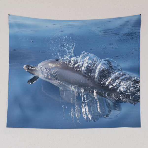 Item preview, Spotted dolphins blowing bubbles designed and sold by Chloé Yzoard.