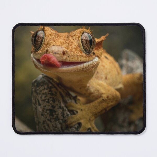 Item preview, Crested Gecko Photo designed and sold by TheAnimalZ00.