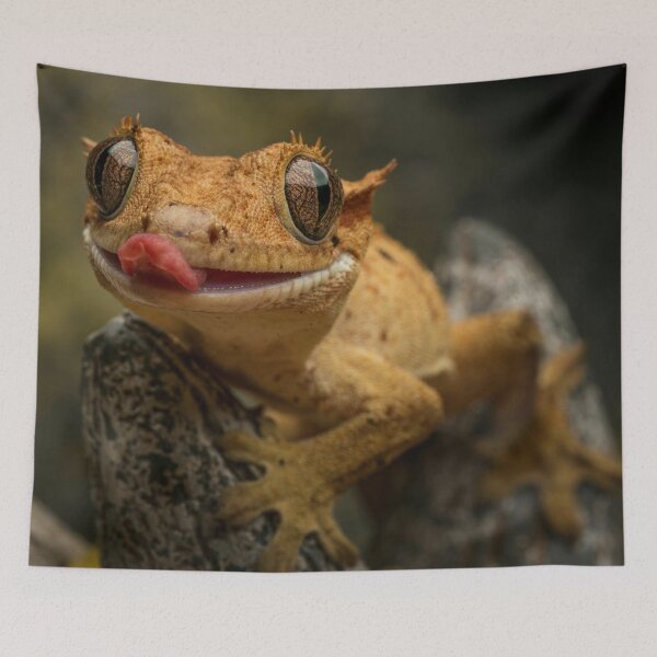 Item preview, Crested Gecko Photo designed and sold by TheAnimalZ00.