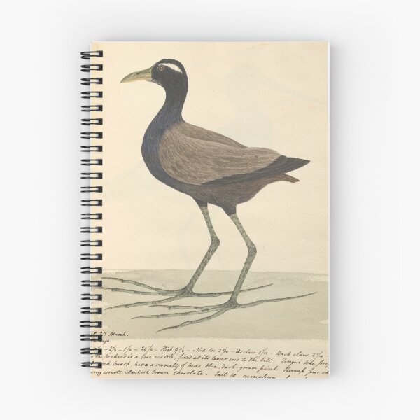 Item preview, Bronze-winged Jacana by Frederick John Shore designed and sold by Amanda1775.
