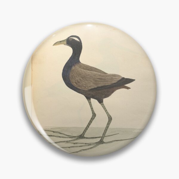 Item preview, Bronze-winged Jacana by Frederick John Shore designed and sold by Amanda1775.