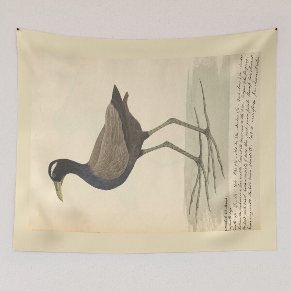 Item preview, Bronze-winged Jacana by Frederick John Shore designed and sold by Amanda1775.