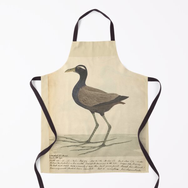 Item preview, Bronze-winged Jacana by Frederick John Shore designed and sold by Amanda1775.