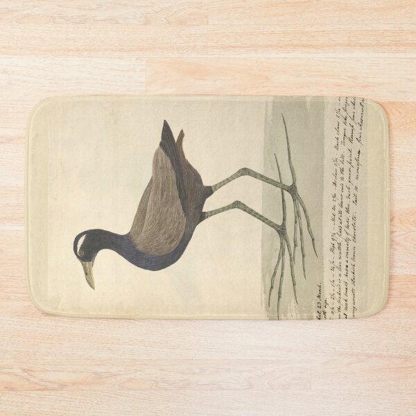 Item preview, Bronze-winged Jacana by Frederick John Shore designed and sold by Amanda1775.