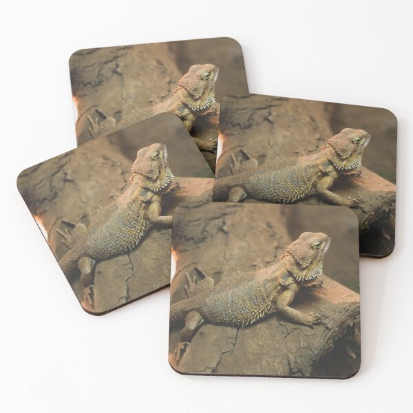 Item preview, Bearded Dragon Photo designed and sold by TheAnimalZ00.