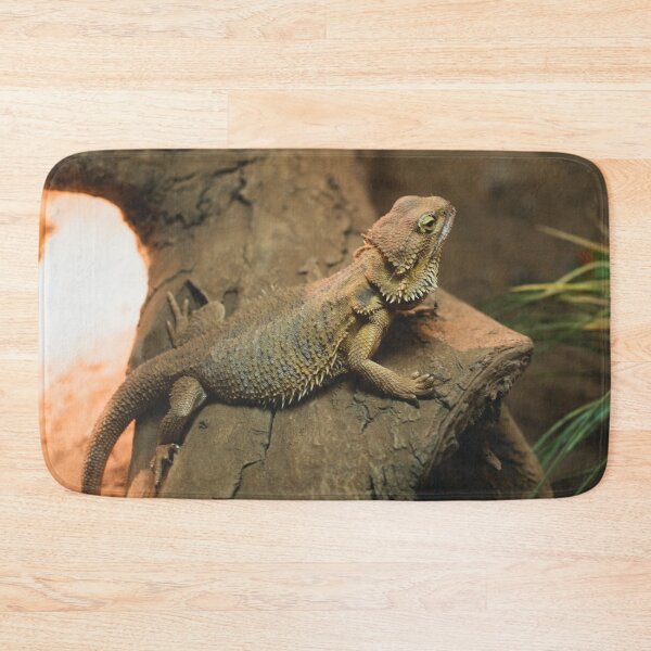 Item preview, Bearded Dragon Photo designed and sold by TheAnimalZ00.