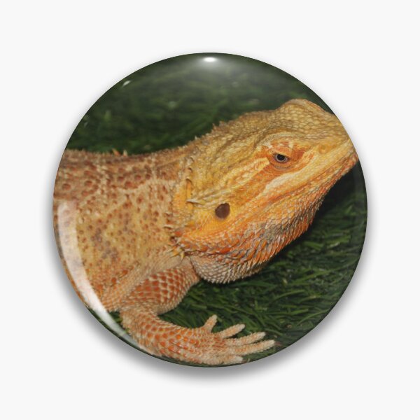 Item preview, Bearded Dragon  designed and sold by TheAnimalZ00.