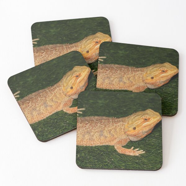 Item preview, Bearded Dragon  designed and sold by TheAnimalZ00.