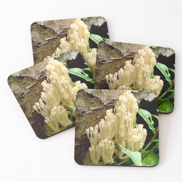 Item preview, Coral Castle designed and sold by Maddabblerart.