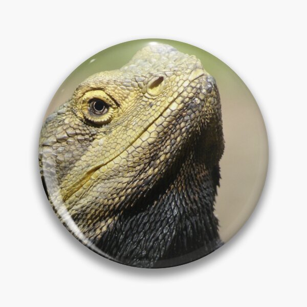Item preview, Bearded Dragon Face  designed and sold by TheAnimalZ00.