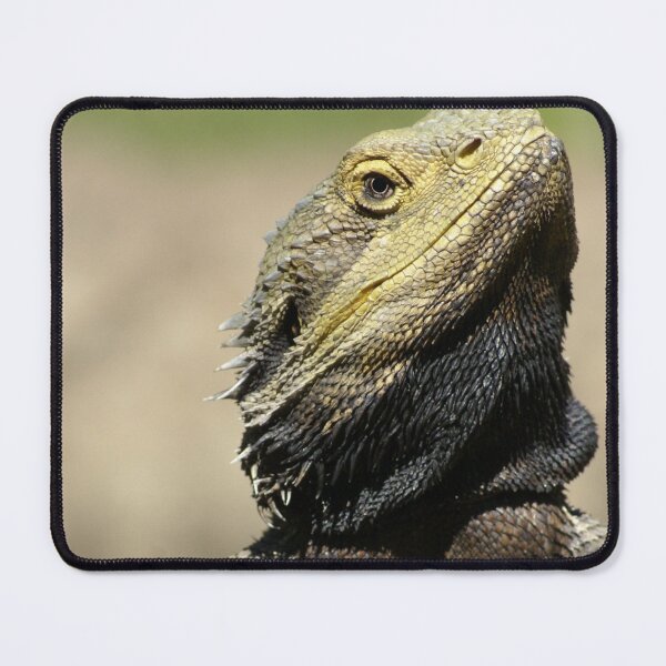 Item preview, Bearded Dragon Face  designed and sold by TheAnimalZ00.