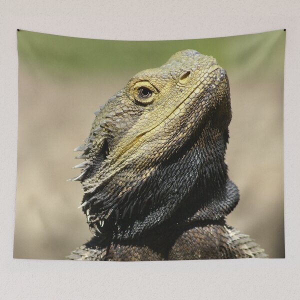 Item preview, Bearded Dragon Face  designed and sold by TheAnimalZ00.