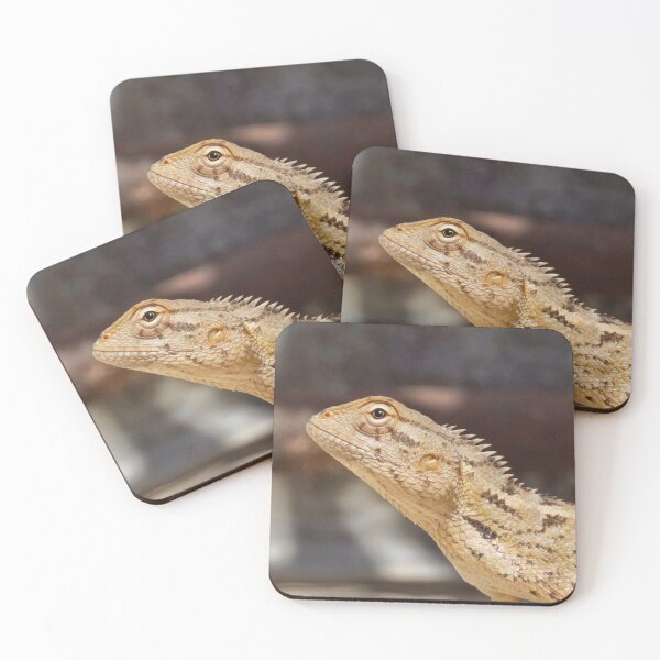 Item preview, Bearded Dragon Photograph  designed and sold by TheAnimalZ00.
