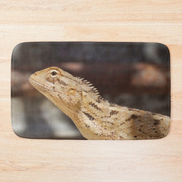 Item preview, Bearded Dragon Photograph  designed and sold by TheAnimalZ00.