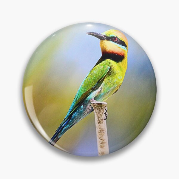 Item preview, Rainbow Bee Eater designed and sold by FeatheredFinds.
