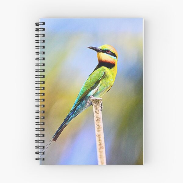 Item preview, Rainbow Bee Eater designed and sold by FeatheredFinds.