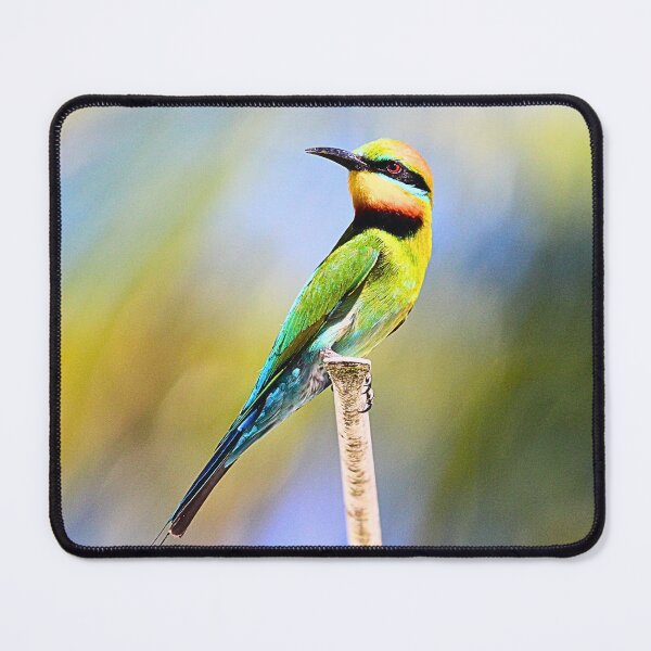 Item preview, Rainbow Bee Eater designed and sold by FeatheredFinds.