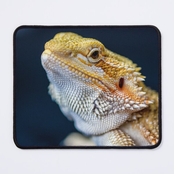Item preview, Bearded Dragon Face  designed and sold by TheAnimalZ00.