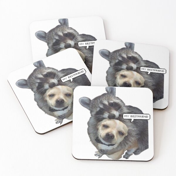 Item preview, Best friend Raccoon and Puppy sticker designed and sold by Almendra21.